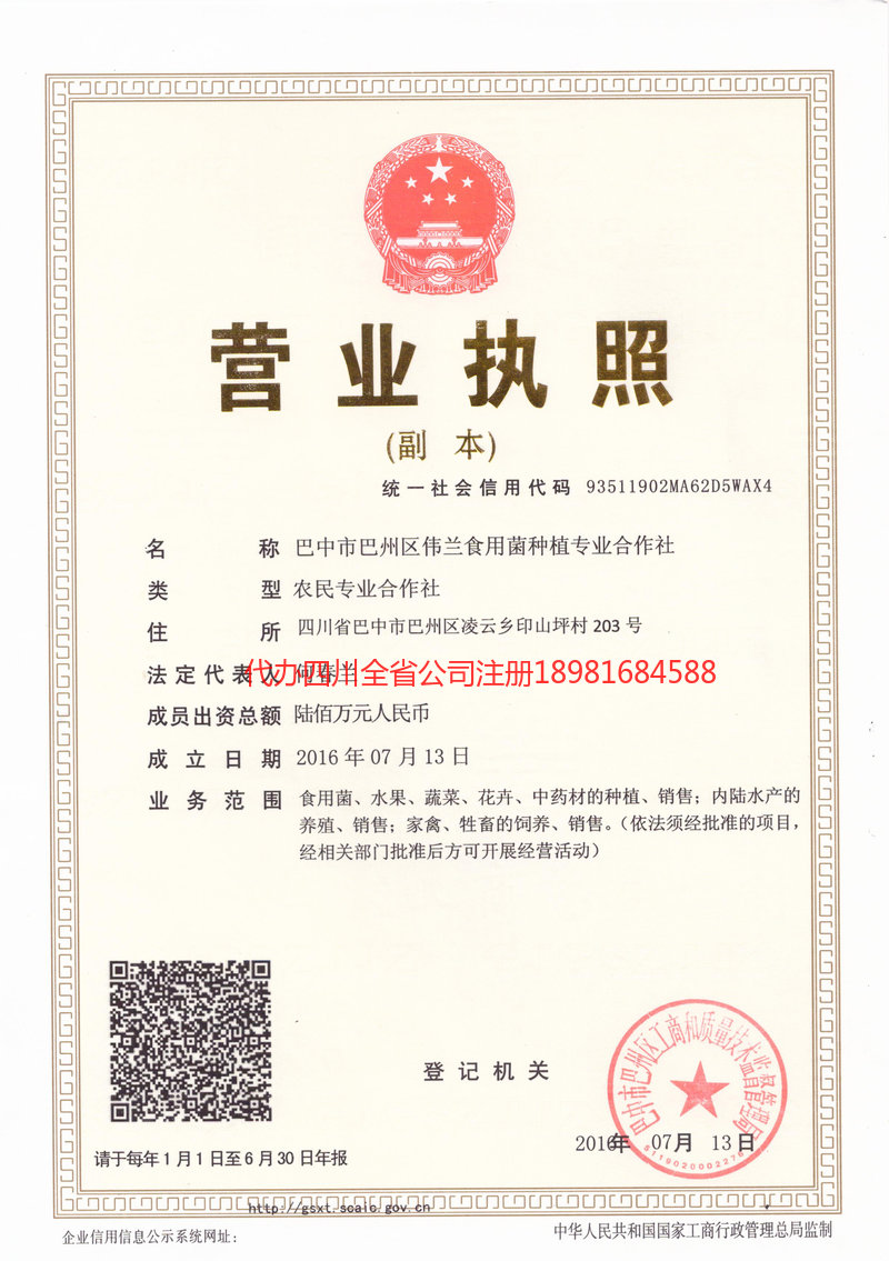 来宾来宾伟兰食用菌种植专业合作社